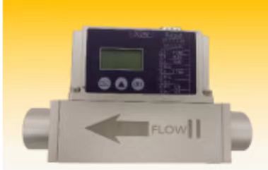 热式气体质量流量计/气体流量计 (氮气/氧气)LR99-PW-FYT-AWM