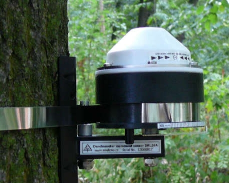 树木生长量记录仪 进口DRL 26D