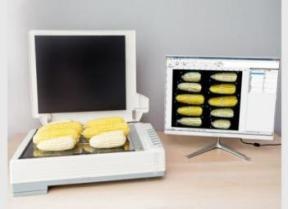 智能考种分析系统 (含玉米果穗）（东方化玻）DFHB-409468