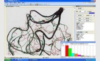植物生理表型检测类仪器/根系分析系统（东方化玻）DFHB-409531