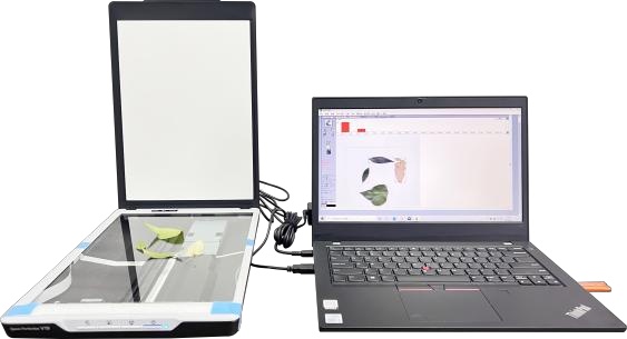 扫描式叶面积测量仪（东方化玻）DFHB-409561