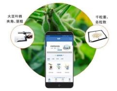 大豆表型检测系统（东方化玻）DFHB-409566