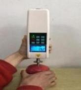 果实硬度计（东方化玻）DFHB-409572