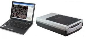 小麦不完善率检测仪(东方化玻)DFHB-409645