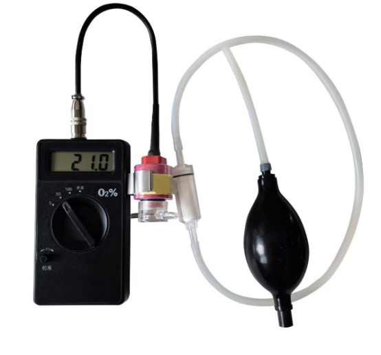 手持式氧含量测定仪（东方化玻）DFHB-