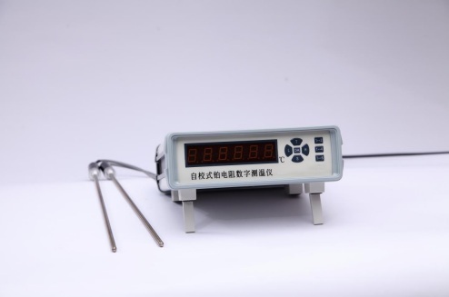 自校式铂电阻数字测温仪 单通道 -60～300TH43 -RCY-301D