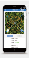 小麦亩穗数测量系统HP4-TPMS-2