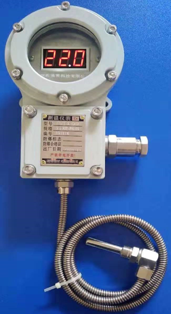 防爆数字测温表DF-NA511-BWTM-204