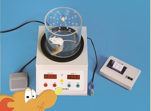 智能热板仪(国产)DF- YLS-6B