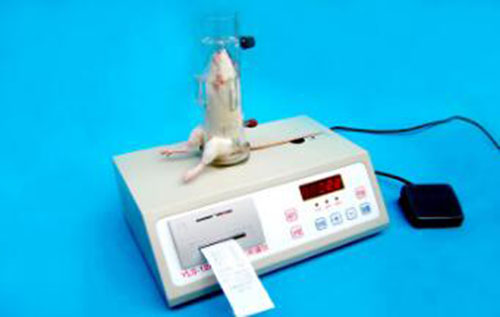 鼠尾光照测痛仪（东方化玻）YY9-DF350262