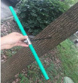 植物生长锥/树木生长锥（400）毫米（东方化玻）DFHB-391191