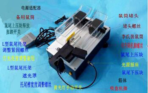 静脉可视大鼠尾注固定器 （东方化玻）YY9-DF396688