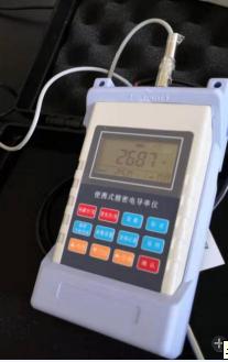 便携式酸度计(手动/自动)CH10/M406265