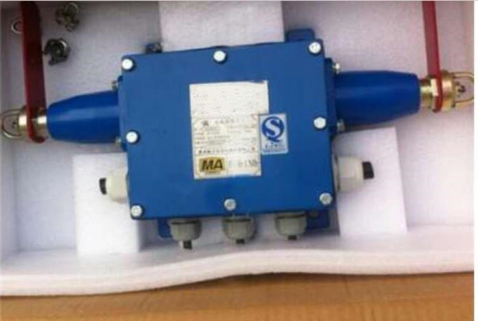 拉繩閉鎖開關(guān)CT1/KG9001A-Z