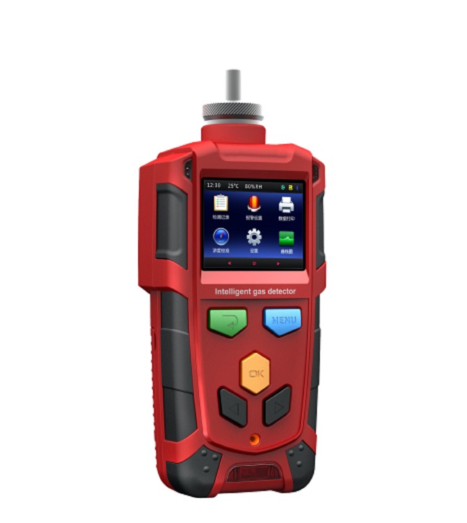 便携式氧气检测报警仪(测量范围0-100%vol,精准度±1%FS)B1010-02-1