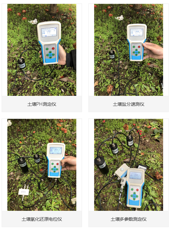 土壤多参数测定仪/土壤墒情速测 仪（）M297544