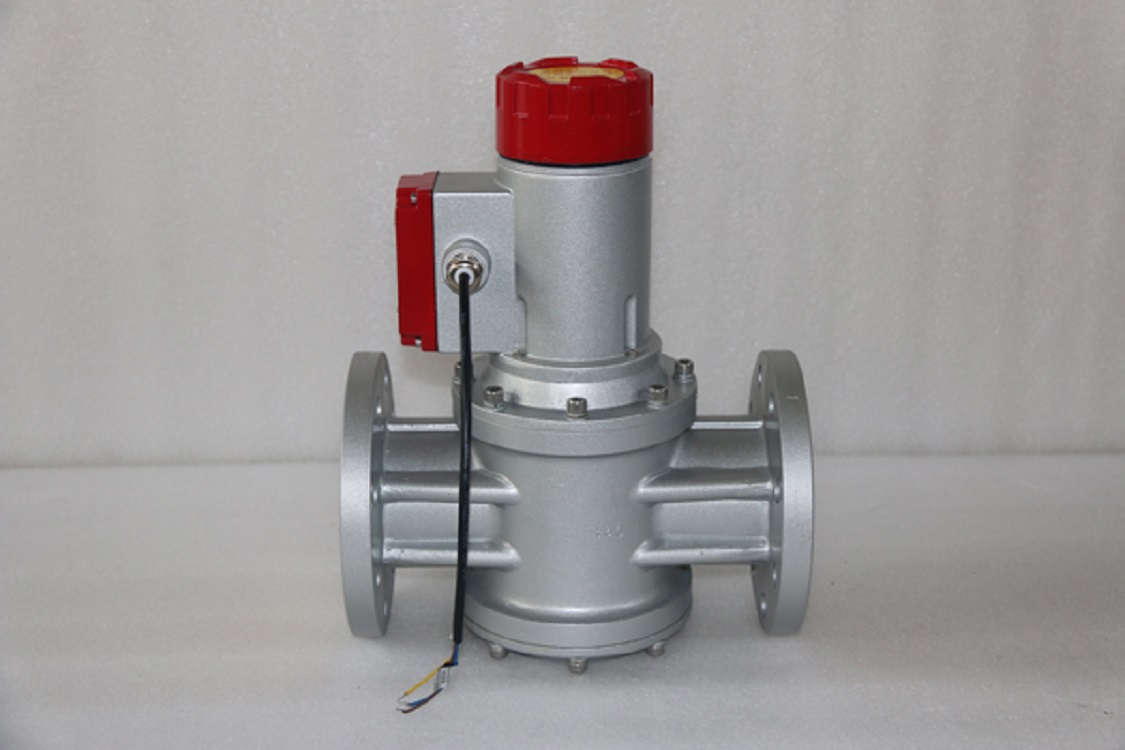 燃气紧急切断阀DRQF-0.01-80/KT DC24V 25W