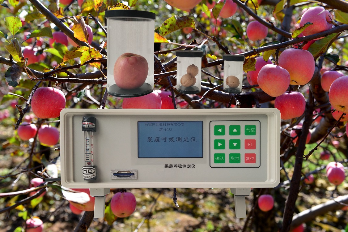 果蔬呼吸测定仪（中西器材）DF-M329611