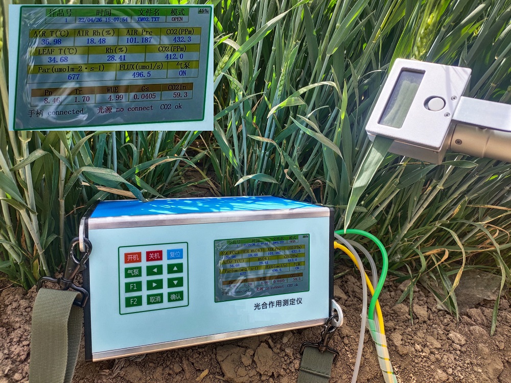 光合作用测定仪（中西器材）DF-M330891