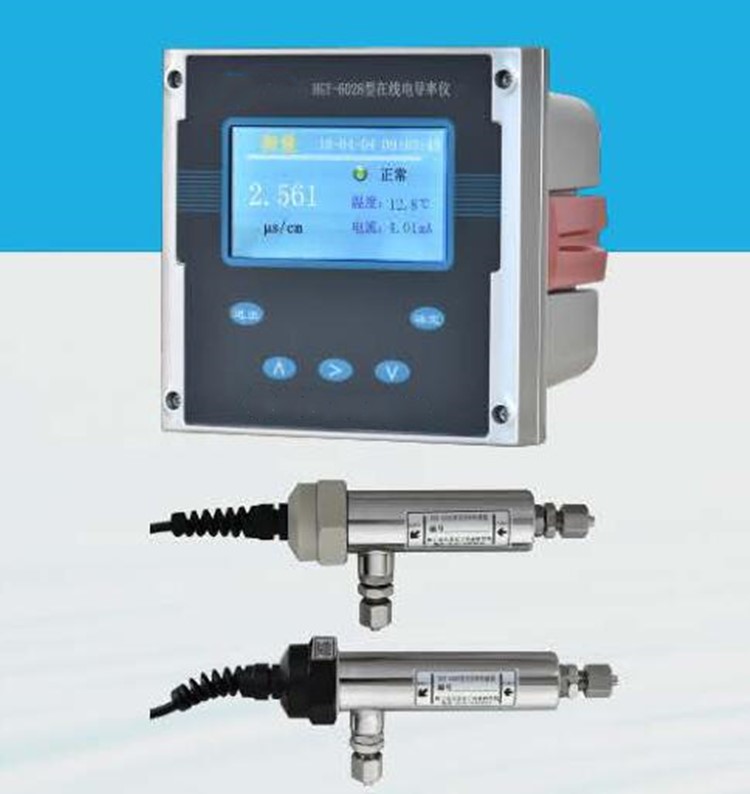 在线电导率仪 WS3-HGY-6028