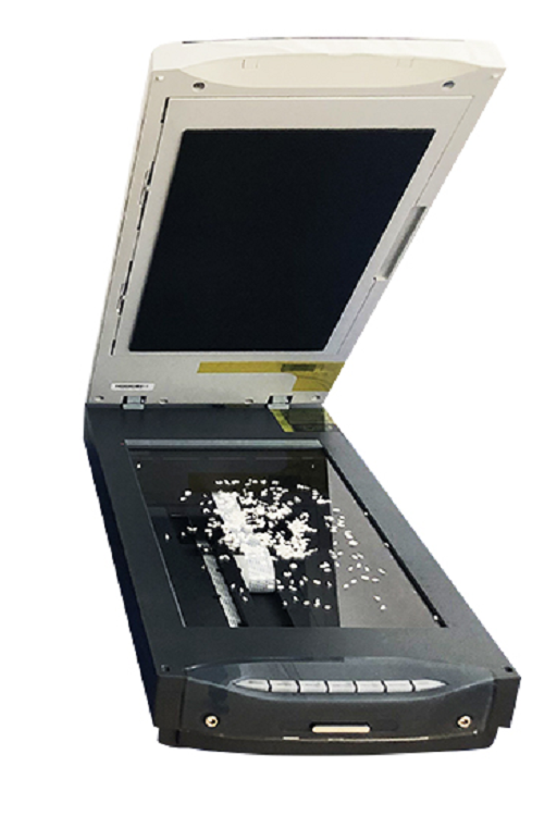 大米外观品质检测仪(东方化玻)DF-342378