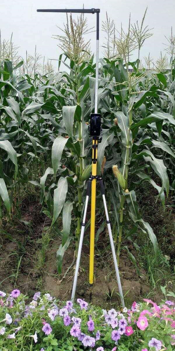 便携式玉米株高测量仪（中西器材）M342380