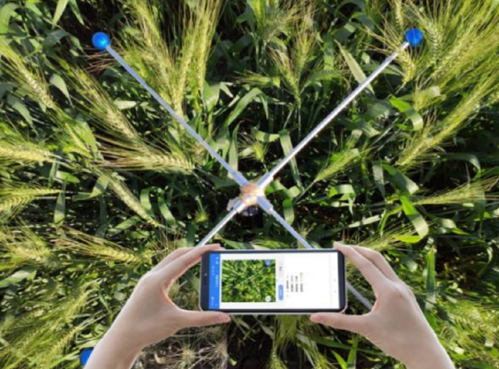 小麦亩穗数测量系统（中西器材）M342382