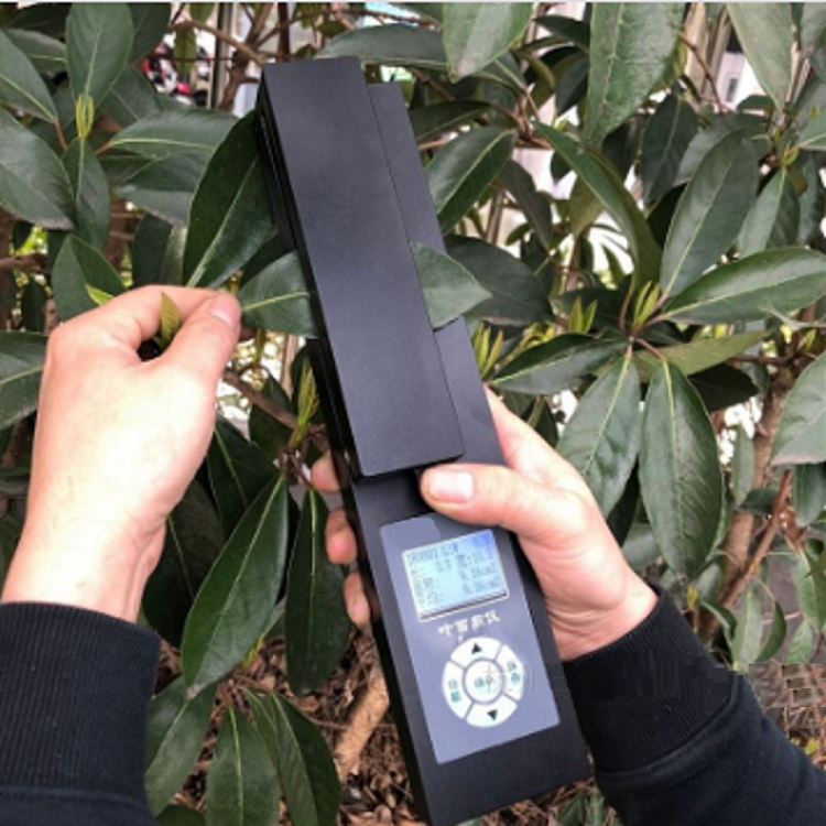 叶面积测量仪（中西器材）M343553-A