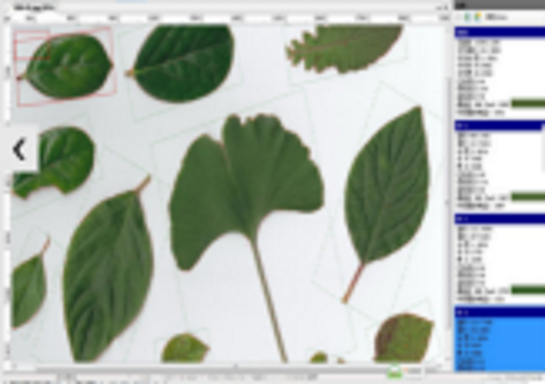 植物图像分析仪/叶面积测量仪（中西器材）M343565