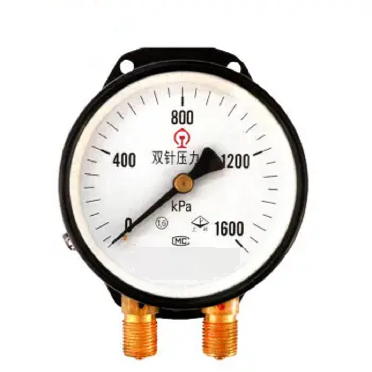 双针双管压力表（1.6级）YZS-102
