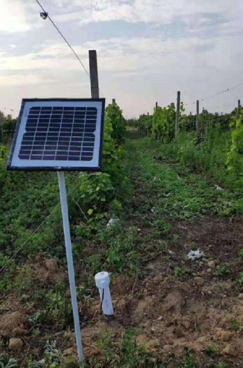 土壤管式剖面水分仪(东方化玻)DFHB-6774