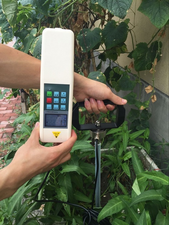 土壤紧实度测定仪（东方化玻）DFHB-7823