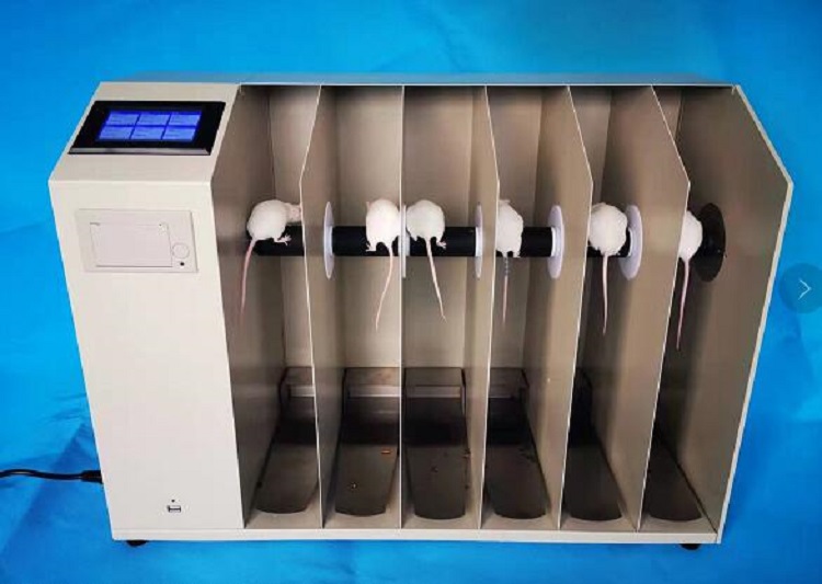 大小鼠轉(zhuǎn)棒式疲勞儀BD08-YLS-31B