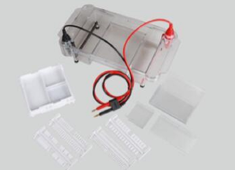 多功能水平电泳槽XJX23-HE-120