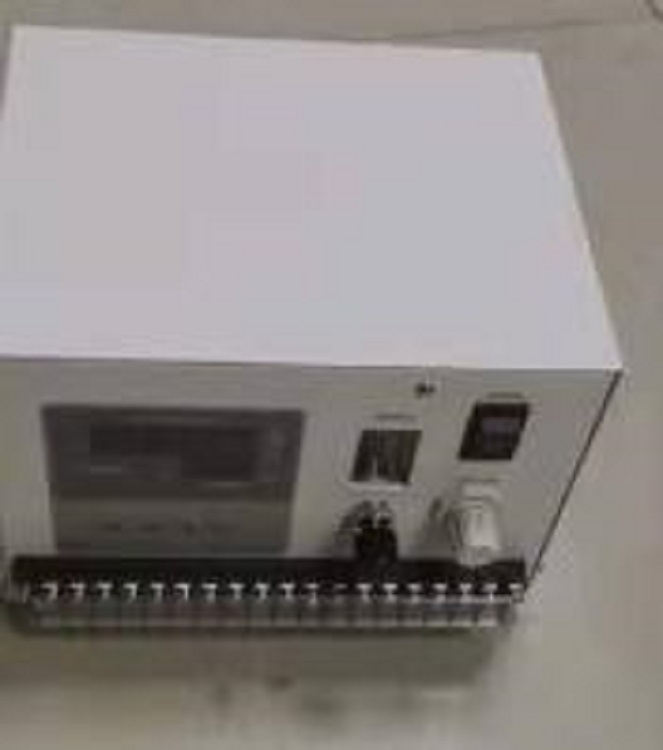 氧分析仪HS61-SH-204-B