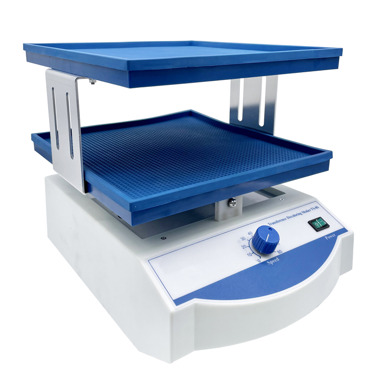 转移脱色摇床（双层）TS-8S