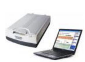 年轮分析仪/植物年轮测量仪())LB060/M398742