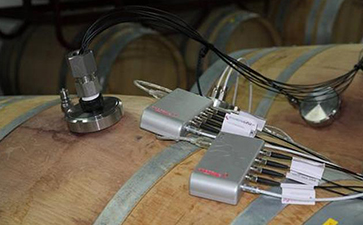 光纤式氧气测量仪 德国 （四通道+氧气探头+温度探头）FireStingO2